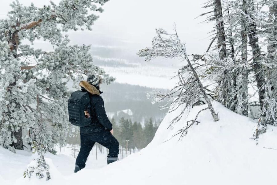 Rovaniemi: Snowshoeing in the Arctic Wilderness - The Snowshoeing Experience
