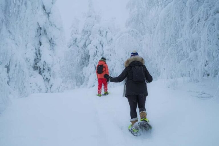 Rovaniemi: Snowshoeing in the Frozen Forest - The Guide and Group Size