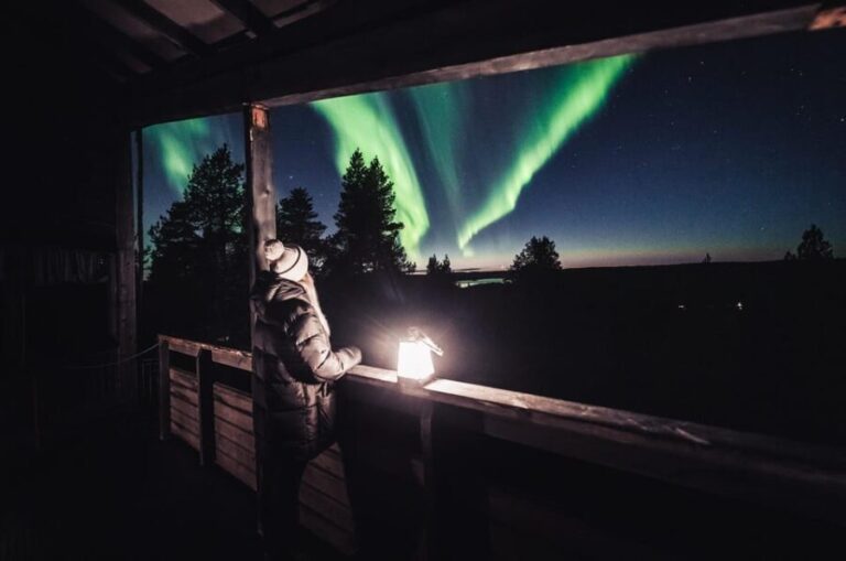 Rovaniemi: Snowy Forest Night Hike with Northern Lights - Chasing the Northern Lights