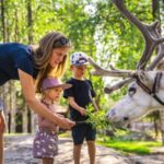Rovaniemi: Summer/Autumn Reindeer Farm Experience - The Experience Itself: A Deep Dive
