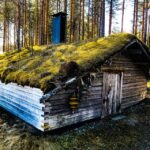 Rovaniemi: Summer Reindeer Farm Experience - The Unique Aspects of Summer in Lapland