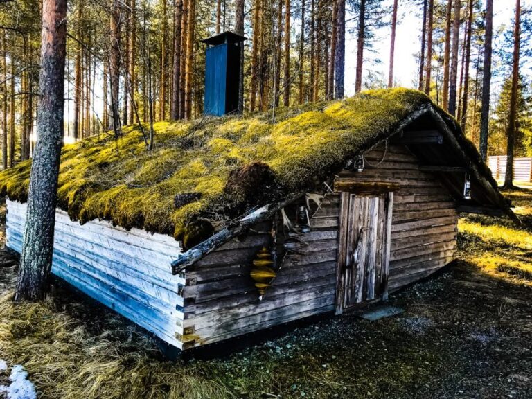Rovaniemi: Summer Reindeer Farm Experience - The Unique Aspects of Summer in Lapland