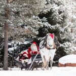 Rovaniemi: Traditional Finnhorse Sleigh Ride at SCV (3km) - What to Expect from the Finnhorse Sleigh Ride