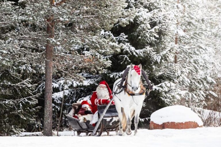 Rovaniemi: Traditional Finnhorse Sleigh Ride at SCV (3km) - What to Expect from the Finnhorse Sleigh Ride