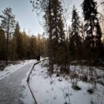 Rovaniemi Vikaköngäs Sightseeing & Photography Tour - Who Will Love This Tour?