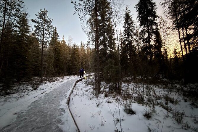 Rovaniemi Vikaköngäs Sightseeing & Photography Tour - Who Will Love This Tour?