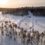 Rovaniemi: Visit Lupland Winter Activity Park at Ranua - What the Tour Is Not