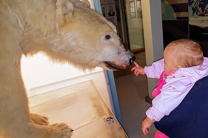 Rovaniemi walking tour and guided Arktikum experience - Who Should Consider This Tour?