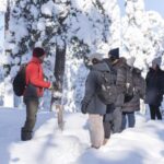 Rovaniemi: Wilderness Tour - A Deep Dive into the Wilderness Tour Experience