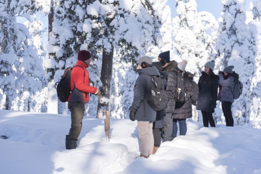 Rovaniemi: Wilderness Tour - A Deep Dive into the Wilderness Tour Experience