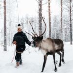 Rovaniemi Winter Activities & Northern Lights! - FAQs