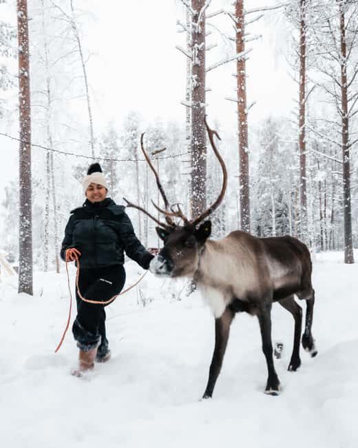 Rovaniemi Winter Activities & Northern Lights! - FAQs