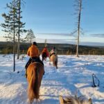Rovaniemi: Winter Horseback Ride on Snowy Hills and Forests - Who is This Tour Best Suited For?