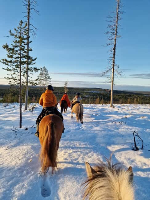 Rovaniemi: Winter Horseback Ride on Snowy Hills and Forests - Who is This Tour Best Suited For?