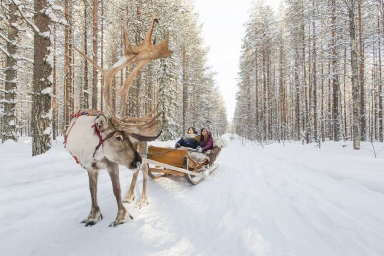 Rovaniemi: Winter Snowshoeing, Reindeer & Husky Sleigh Ride - Who’s This Tour Best Suited For?