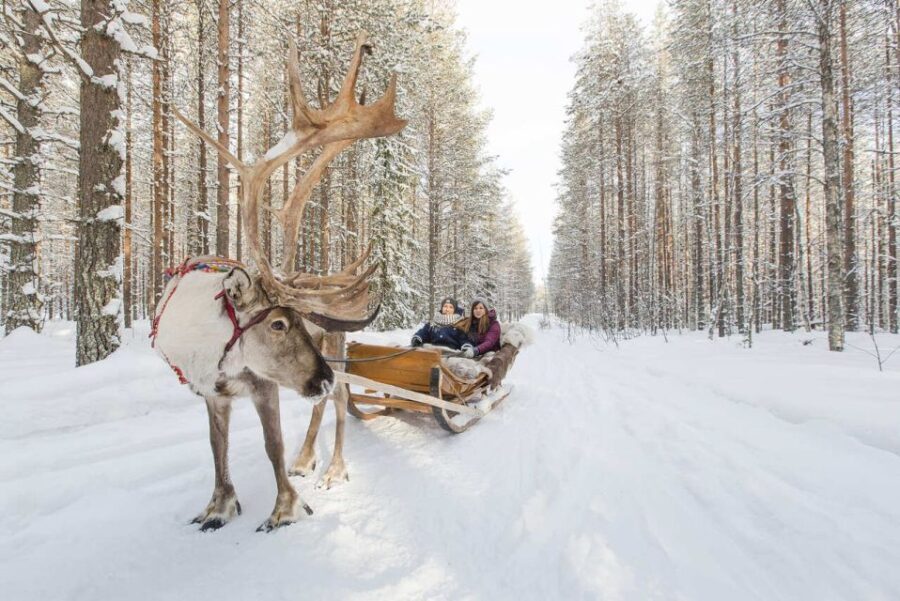 Rovaniemi: Winter Snowshoeing, Reindeer & Husky Sleigh Ride - Who’s This Tour Best Suited For?