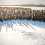 Rovaniemi: Winter Wilderness Snowshoeing Trip - What Makes This Tour Stand Out