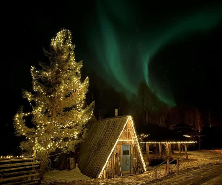 Rovaniemi:Northern Lights Small-Group Tour At Shaman Village - The Balance of Price and Experience