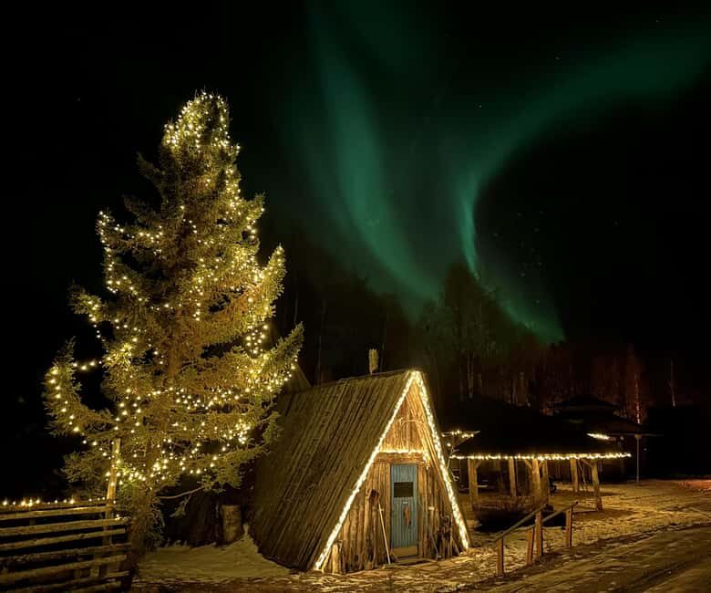 Rovaniemi:Northern Lights Small-Group Tour At Shaman Village - The Balance of Price and Experience