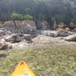 Rovinj: Golden Cape Desert Islands Kayak & Snorkeling Tour - The Underwater World and Marine Life