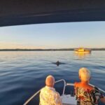 Rovinj: Shared Dolphin and Sunset Tour with Drinks - The Value of This Tour
