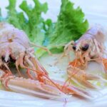 Rovinj Walking Food Tour - Practical Details