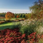 Royal Horticultural Society: Hyde Hall Garden Ticket - Practical Details for Your Visit