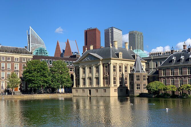 Royal The Hague Private Guided Walking Tour - Who Should Consider This Tour?