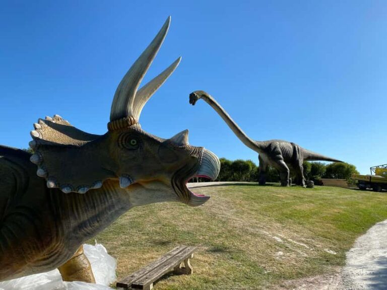 Royan: Planet Exotica Entry Ticket - Who is This Park Best For?