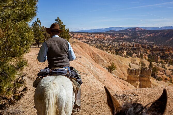 Ruby's Horseback Adventures Utah 1.5 Hour Ride - The Experience in Context