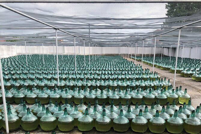 Rueda White Wine Tour with Michelin-Star Lunch from Madrid - What Makes This Tour a Good Choice?