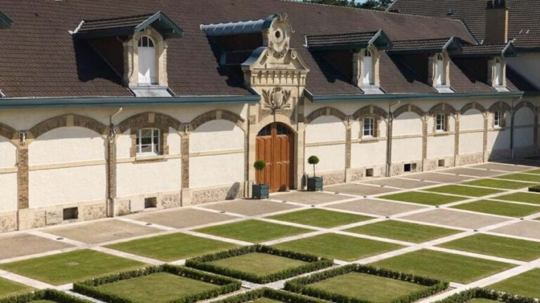 Ruinart Tasting and Fun Private Tour in Champagne - What Travelers Are Saying