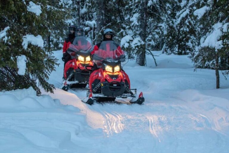 Ruka: 4h Snowmobile Safari with Snack and Campfire - Who Should Consider This Tour?