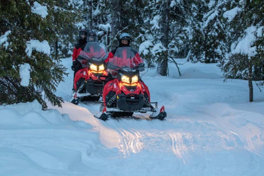 Ruka: 4h Snowmobile Safari with Snack and Campfire - Who Should Consider This Tour?