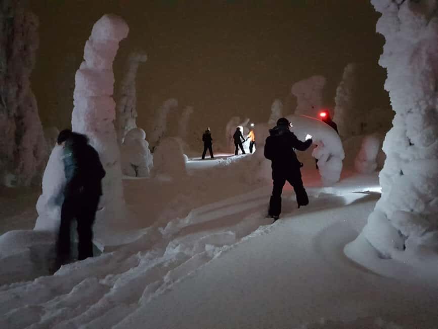 Ruka: Night Snowshoe Hike with Stargazing & Night Sky - The Magic of Stargazing and Aurora Spotting