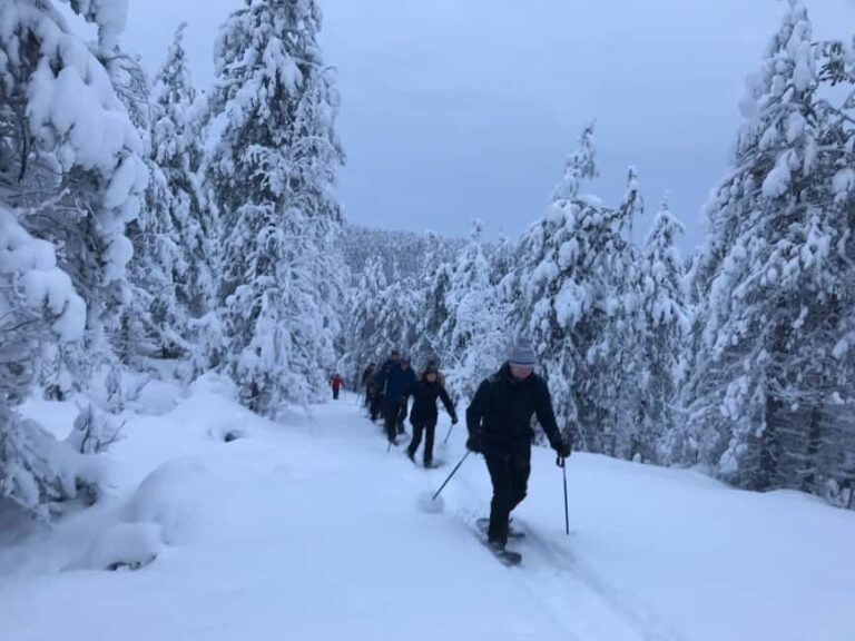 Ruka: Pyhävaara Snowshoeing Tour - Is It Worth the Price?
