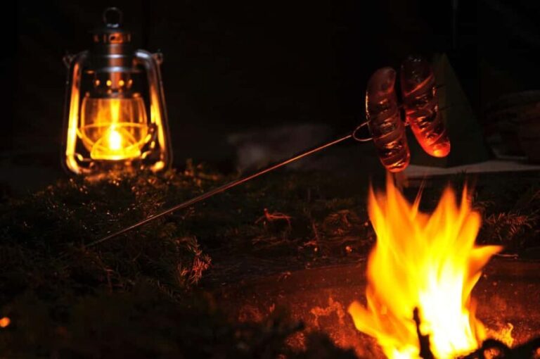 Ruka: Snowmobile Safari 2h with snacks and guide - Key Points