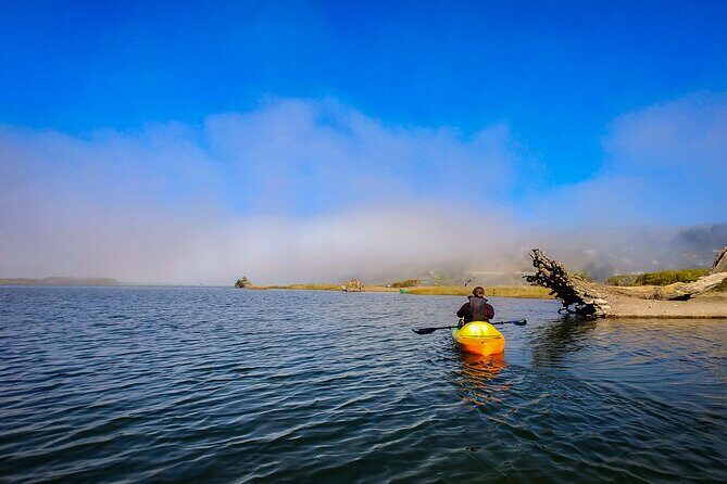 Russian River Kayak Tour at the Beautiful Sonoma Coast - Who Should Consider This Tour?