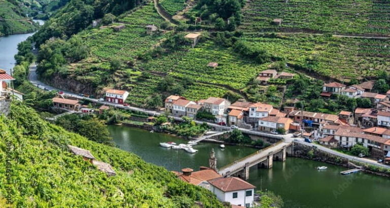 Ruta Ribeira Sacra and Sarria: Between Vineyards, History and the Way of Saint James - What’s Included and What to Keep in Mind