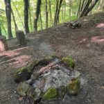 Rzeszów: Countryside trip with bonfire & sausage grilling - The value of this experience