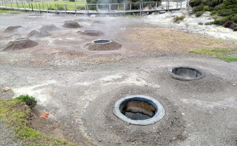 S. Miguel East: Top Scenic Highlights 1 Day Private Tour - Final Thoughts