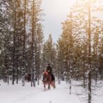 Saariselkä: Arctic Trail Horse Riding Tour - Detailed Breakdown of the Experience