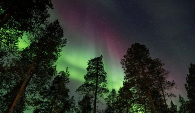 Saariselkä: Aurora Hunt by Car in Muotka - Final Thoughts: Is It Worth It?