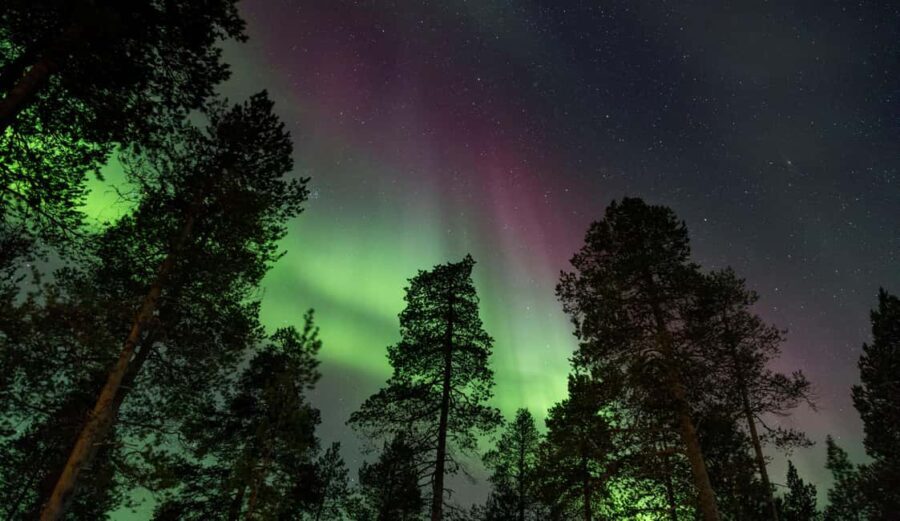 Saariselkä: Aurora Hunt by Car in Muotka - Final Thoughts: Is It Worth It?