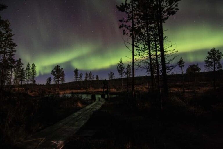 Saariselkä: Autumn Aurora Camp in Muotka - Real Voices and Practical Tips