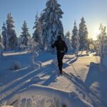 Saariselkä: Back-Country Skiing Guided Tour - What’s Included and What to Expect
