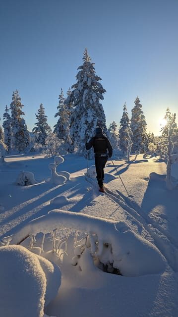 Saariselkä: Back-Country Skiing Guided Tour - What’s Included and What to Expect