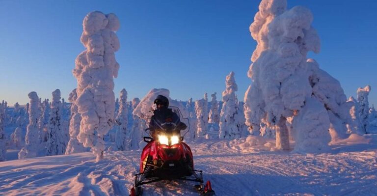 Saariselkä: Evening Snowmobile Tour with Fire & picnic - The Practical Side