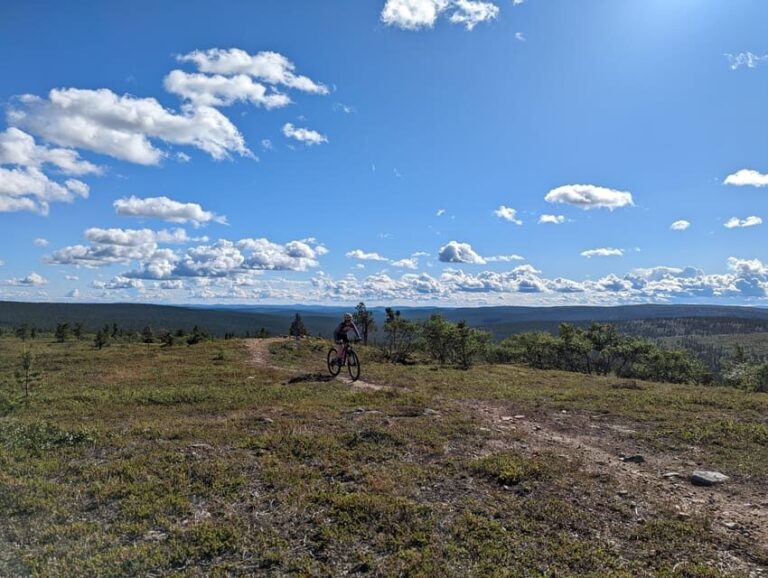 Saariselkä: Flow trails and Rock Gardens Mountain Bike Tour - What You Can Expect: The Ride and the Trails