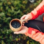 Saariselkä: Forest Treasures Excursion with Outdoor Lunch - Who Should Consider This Tour?